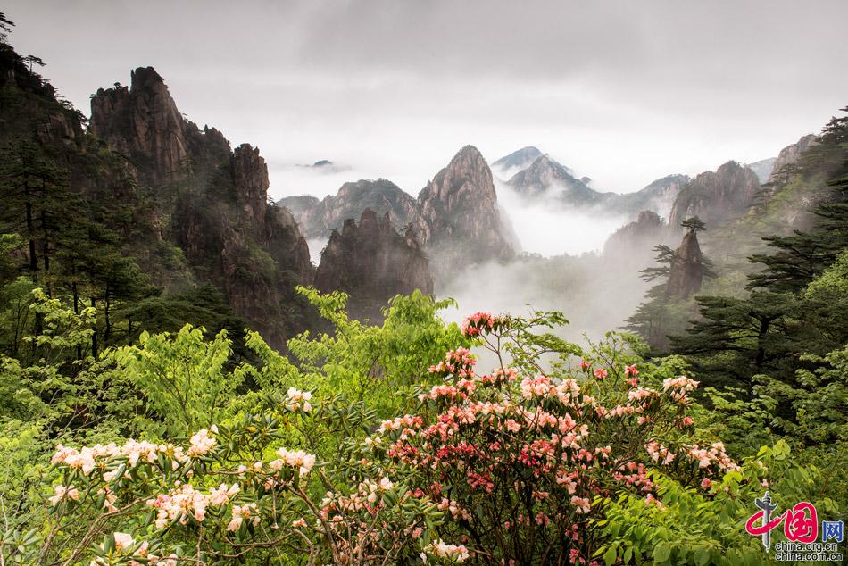 五一旅逛保举：黄山影相师撰写的旅逛攻略(图)(图1)