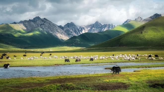 博乐体育：必看！甘南旅逛攻略揭秘中邦小西藏的瑰丽景象(图2)