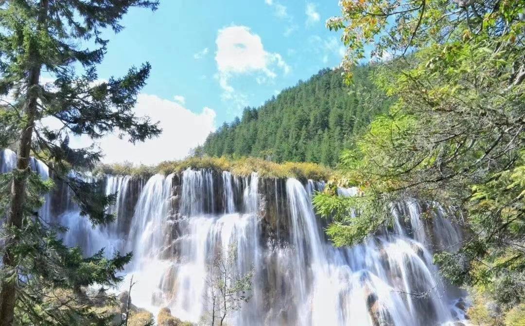 博乐体育：成都两天两夜旅逛攻略熊猫基地旅逛攻略道道(图2)