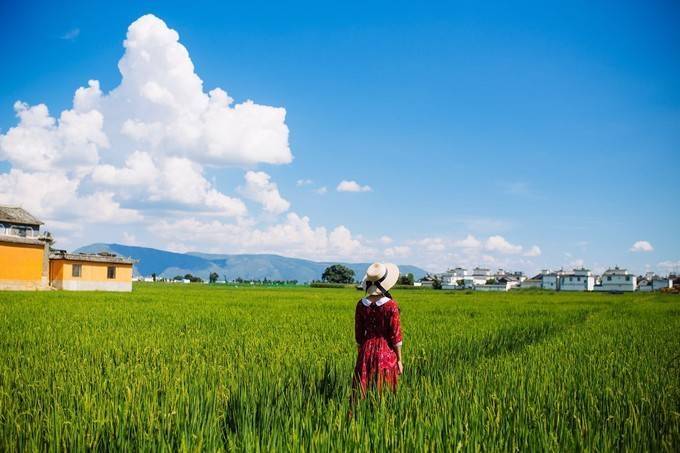 博乐体育：四川旅逛六天五晚旅逛成都6天也许众少钱(图3)