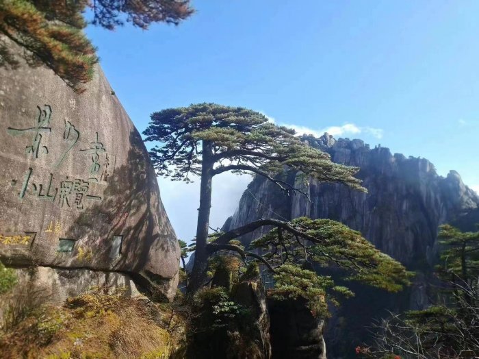 博乐体育：谋略去黄山旅逛思把黄山宏村徽州古城和新安江十里画廊都去到行程何如(图3)