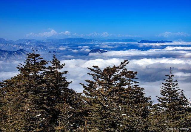 博乐体育：超精细的四川旅逛攻略最佳门途四川旅逛怎样部署看完如何玩了！(图11)