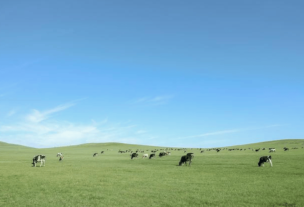 博乐体育：内蒙旅逛攻略必玩的景点全攻略从速保藏(图5)