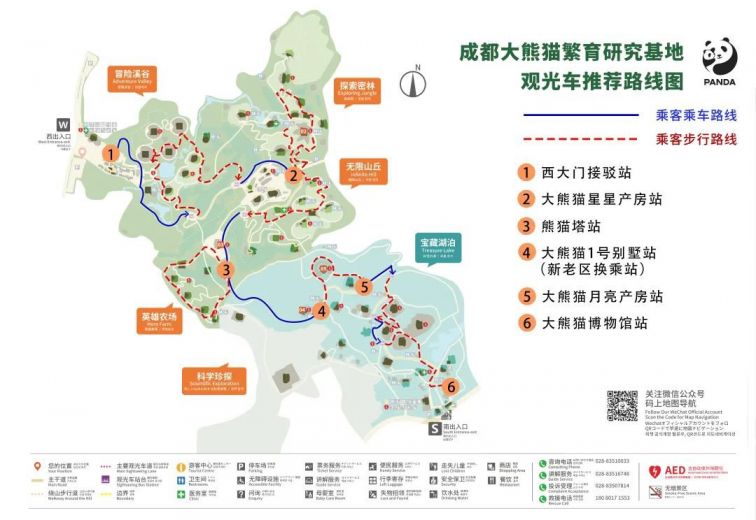 博乐体育：2024成都大熊猫基地旅逛全攻略（门票+地方+交通）(图1)