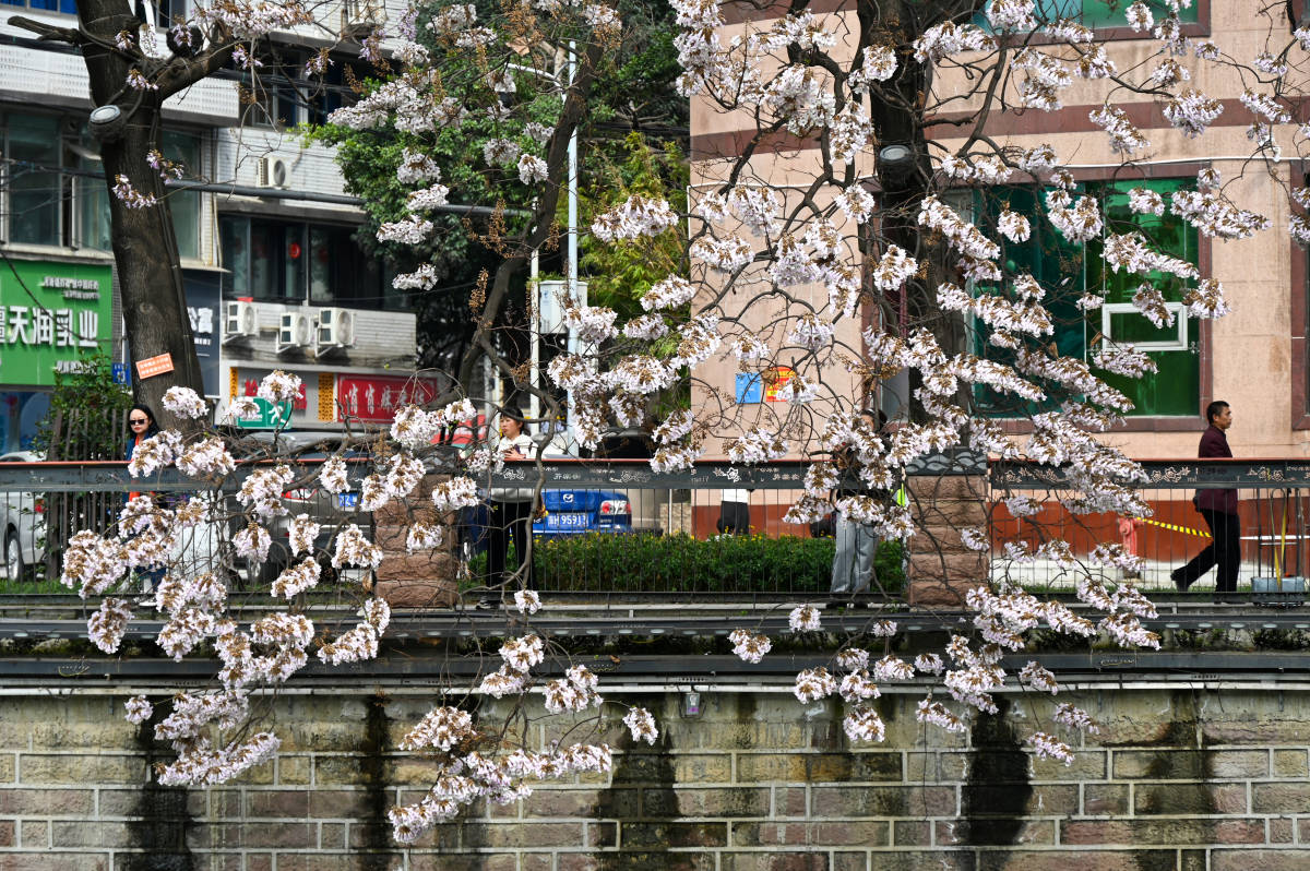 博乐体育：四川旅逛攻略四天三晚超仔细行程调理！四川成都旅逛攻略引荐(图2)