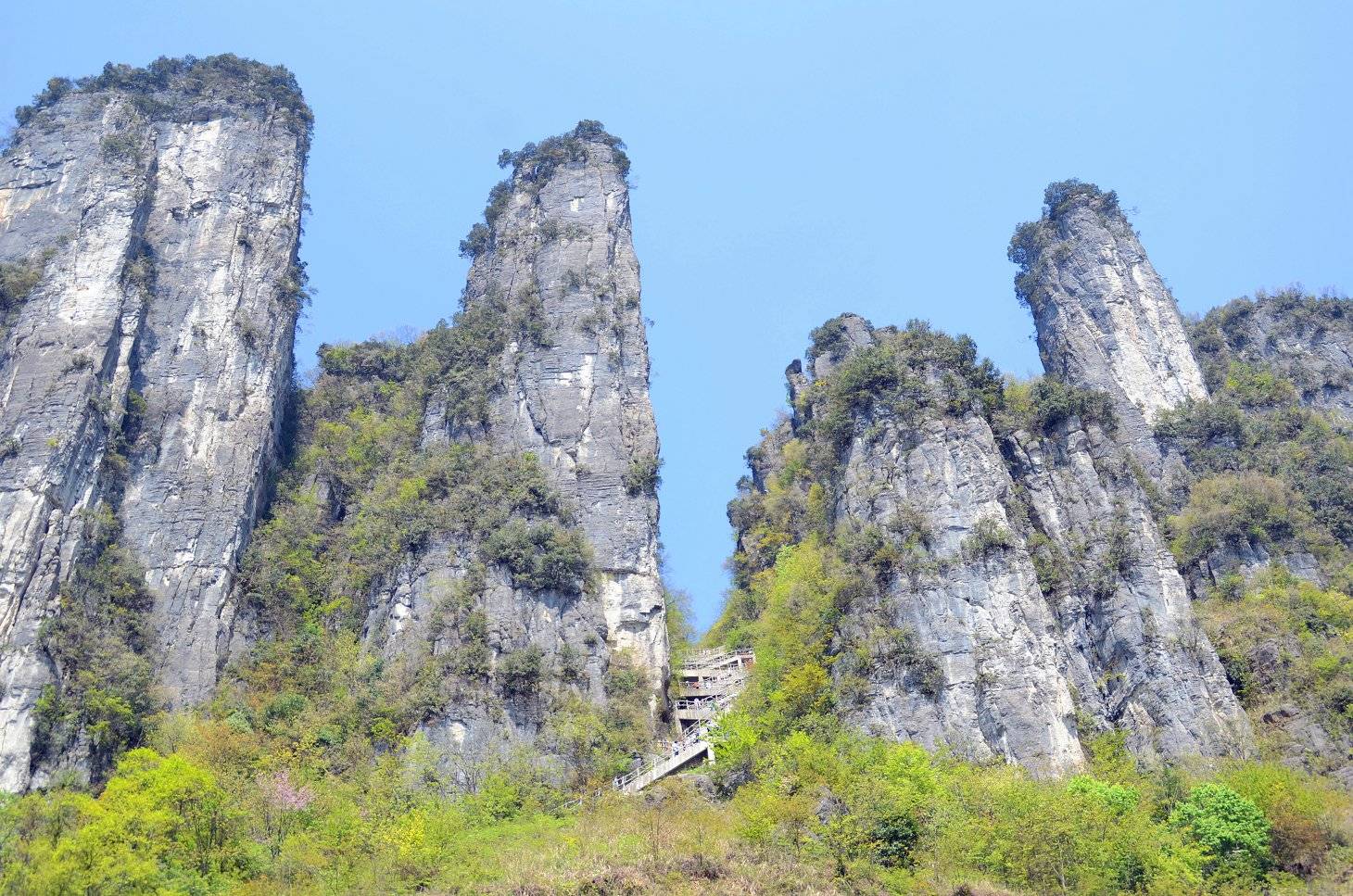 博乐体育：恩施旅逛报团逛要众少钱这篇恩施旅逛省钱攻略不要错过！(图3)