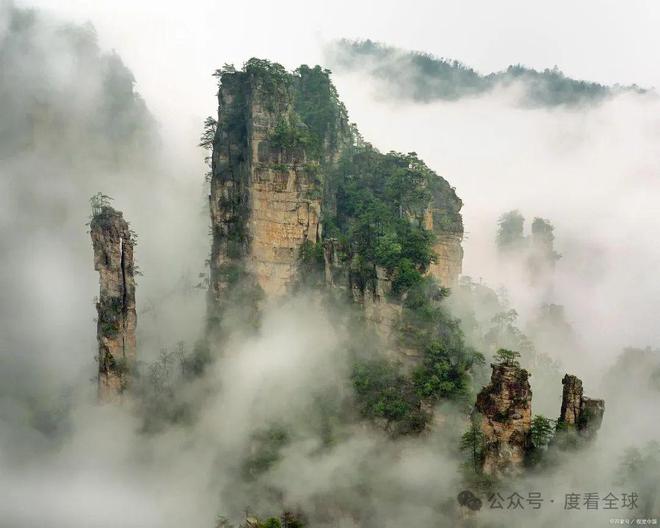 博乐体育：暑假去哪旅逛适当？看这篇就够了全是干货保举！(图4)